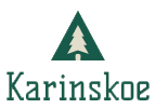 Застройка Каринского